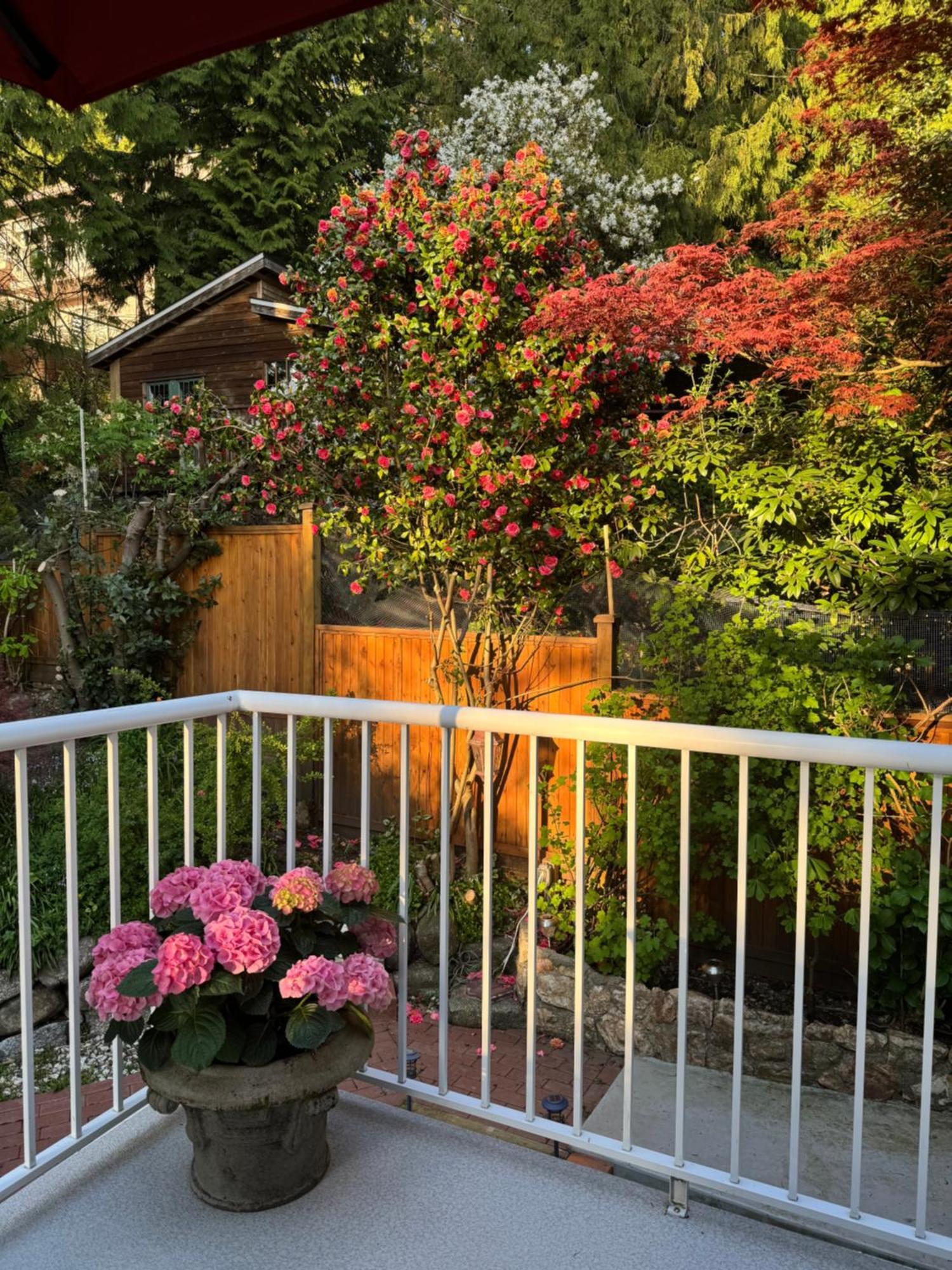 Beautiful Modern Suite North Vancouver Exterior foto