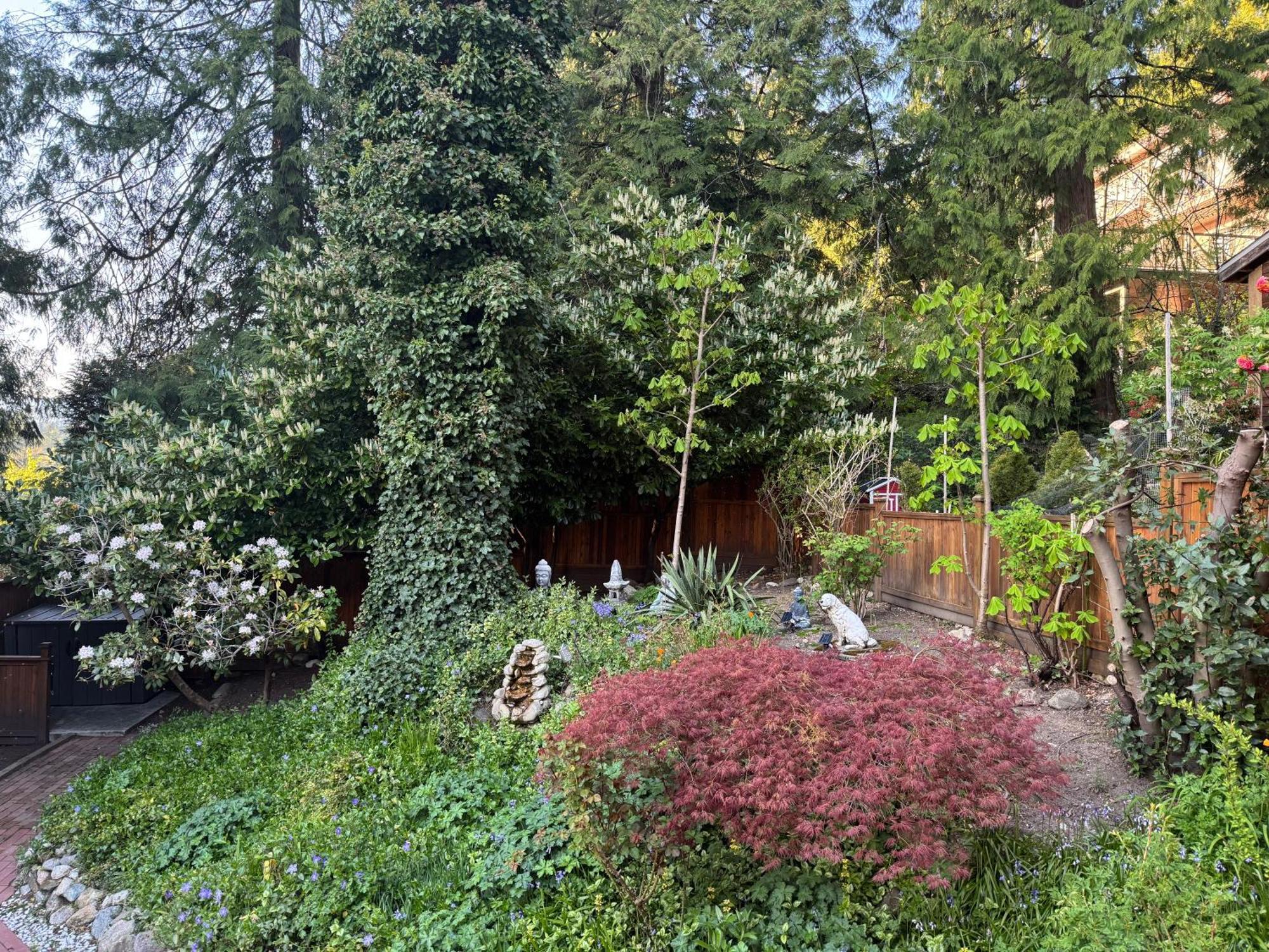Beautiful Modern Suite North Vancouver Exterior foto