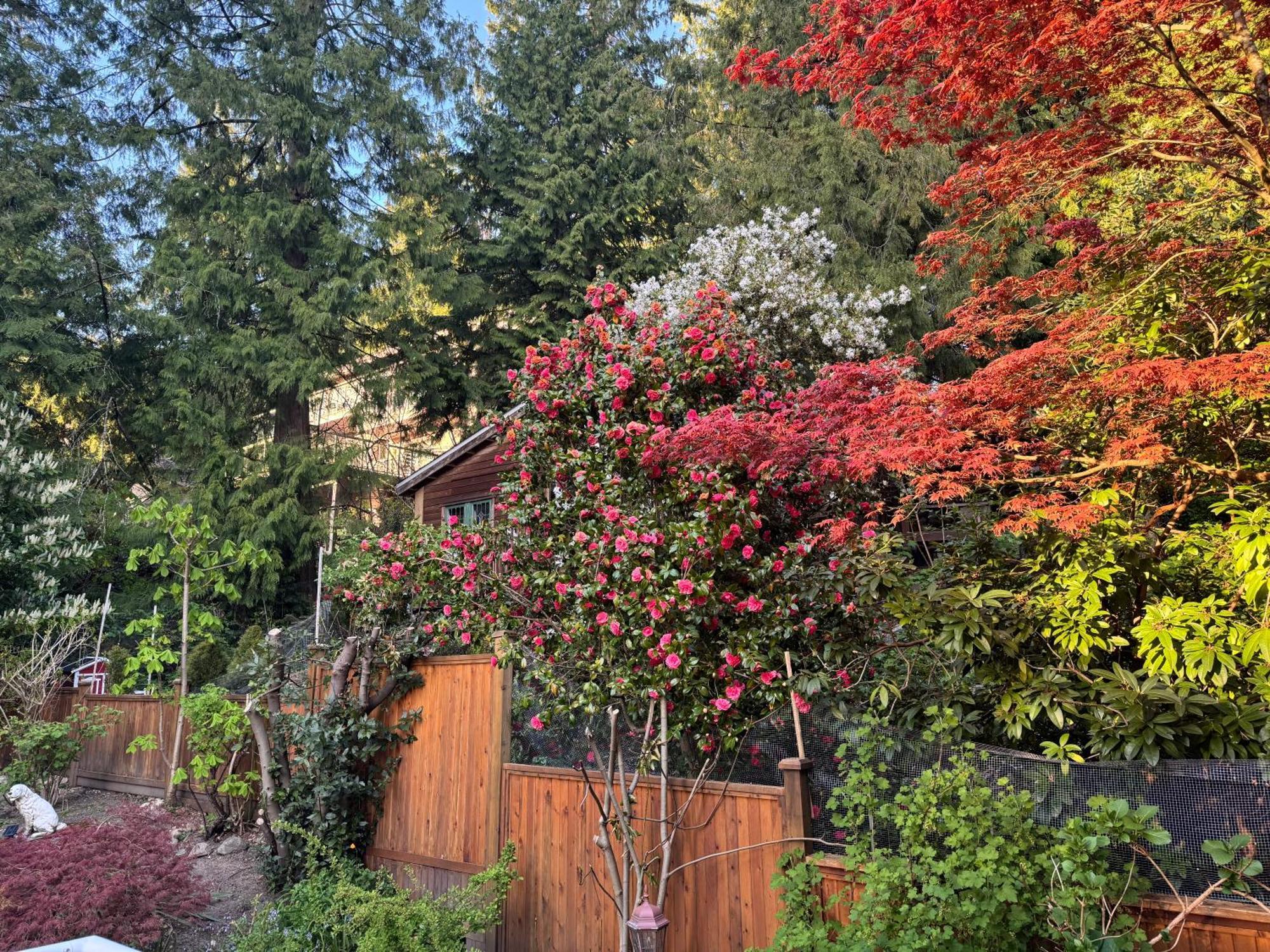Beautiful Modern Suite North Vancouver Exterior foto