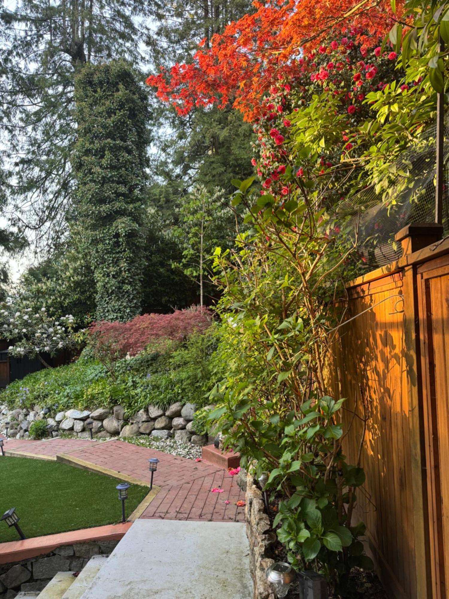 Beautiful Modern Suite North Vancouver Exterior foto